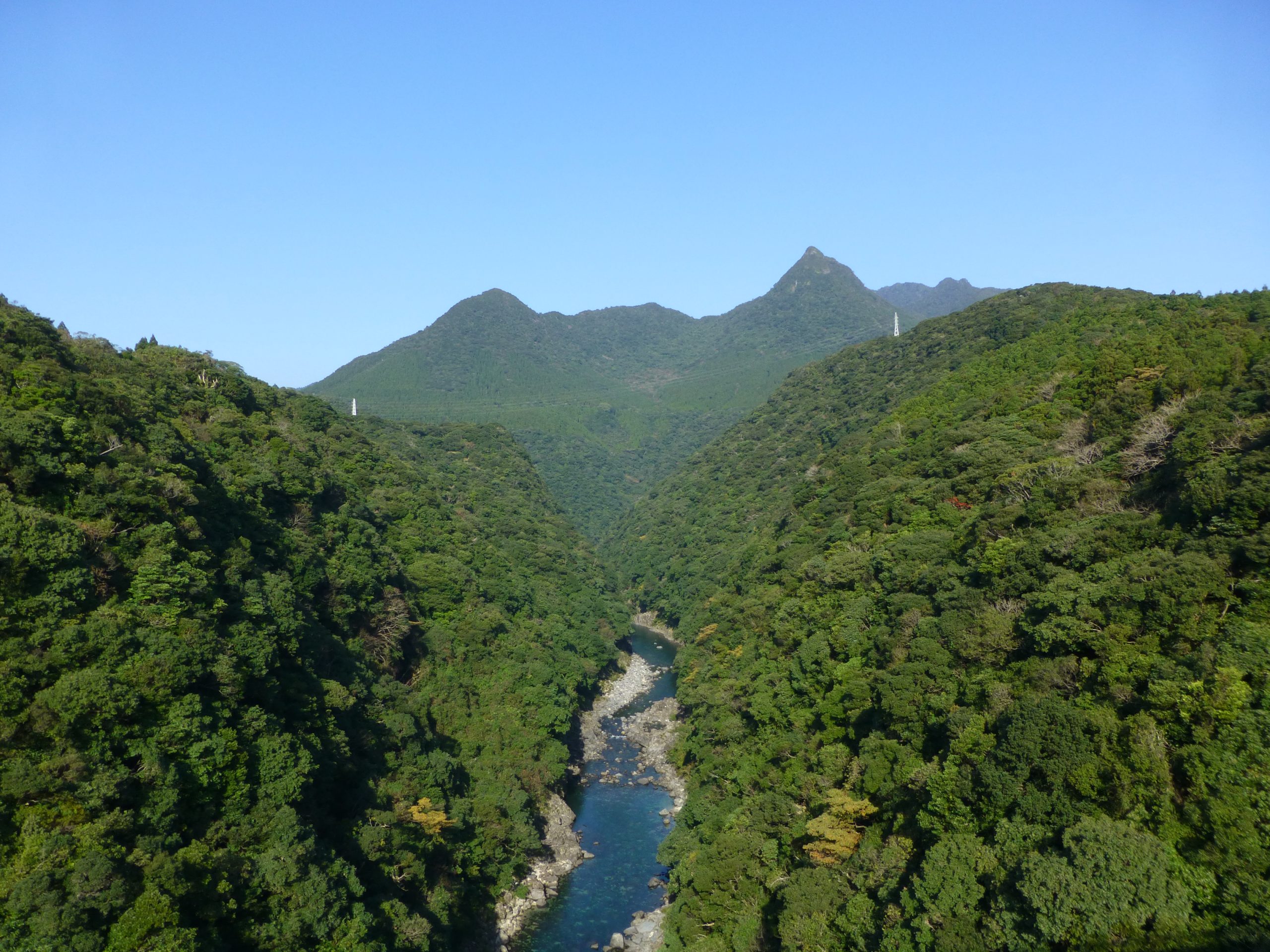 yakushima tour guide