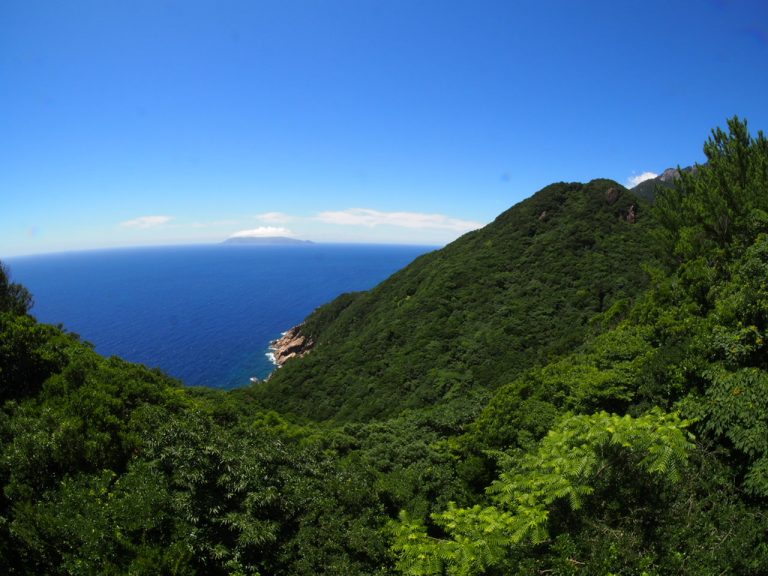 Yakushima is one of Japan`s most impressive attractions.